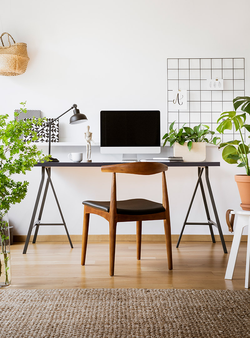 Sunny graphic design studio with desk, computer and plants