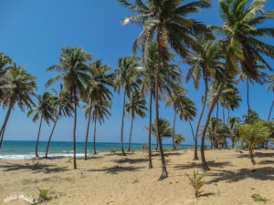 praia de arembepe bahia