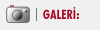 GALER�