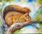 Art: NAP TIME SQUIRREL by Artist Marcia Baldwin