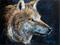 Art: WOLF in PASTEL by Artist Marcia Baldwin