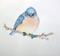 Art: BABY BLUEBIRD 2 by Artist Marcia Baldwin