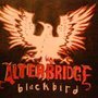 Alter Bridge Blackbird