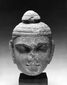 Image for Head of the Buddha