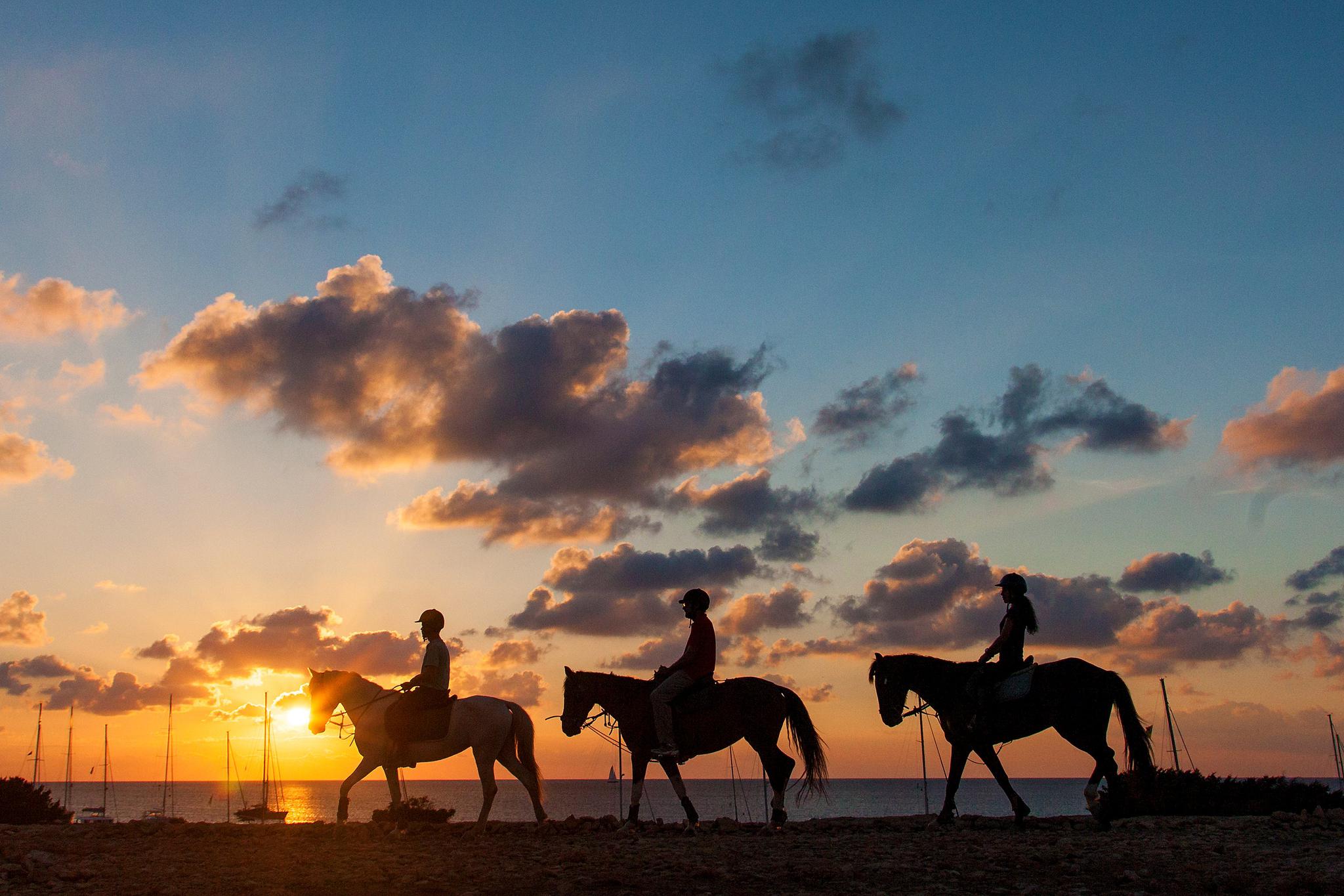 Go horse-riding through Formentera’s rugged landscapes (AETIB)