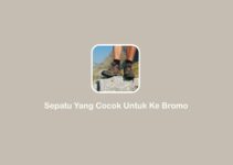 4 Sepatu yang Cocok untuk ke Bromo, Cek!