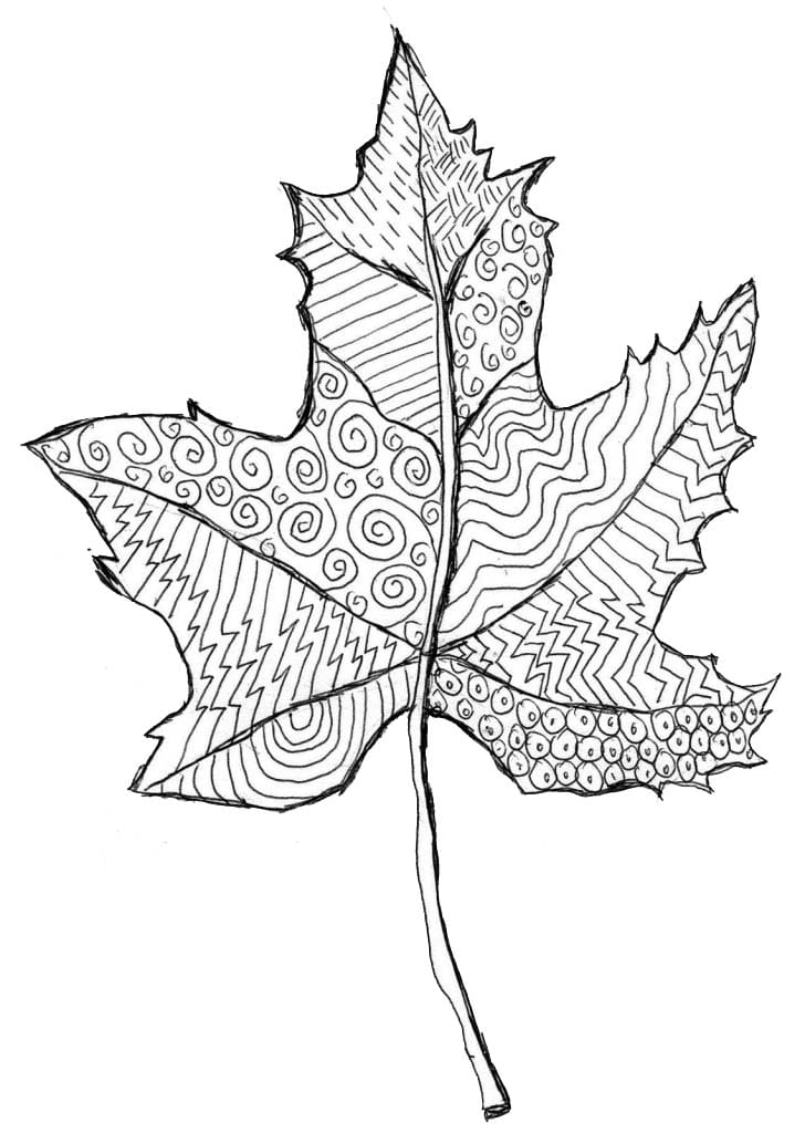 Leaf Zentangle Art Patterns: Drawing Projects for Kids