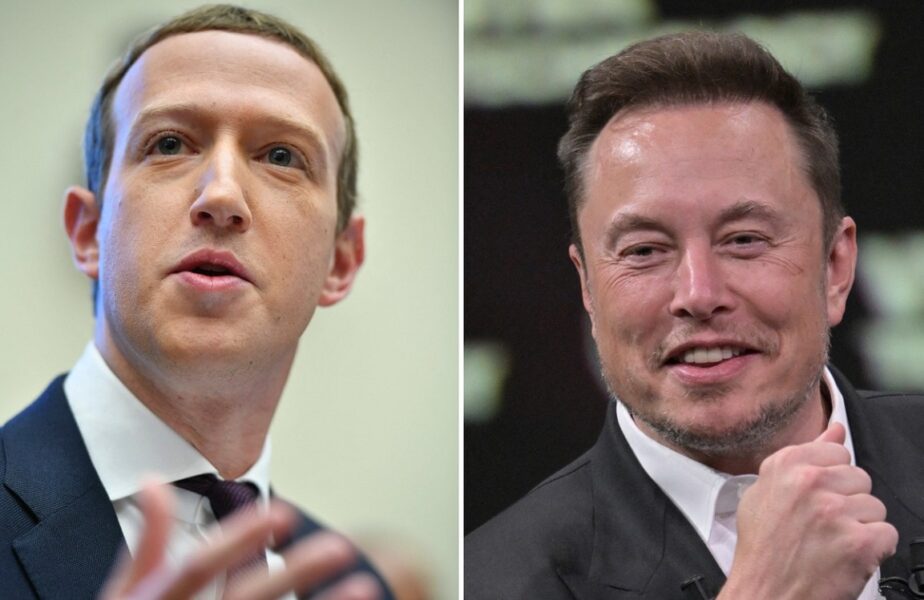 Suma fabuloasă pe care o poate genera un meci, în cuşcă, între Elon Musk şi Mark Zuckerberg. S-au făcut toate calculele