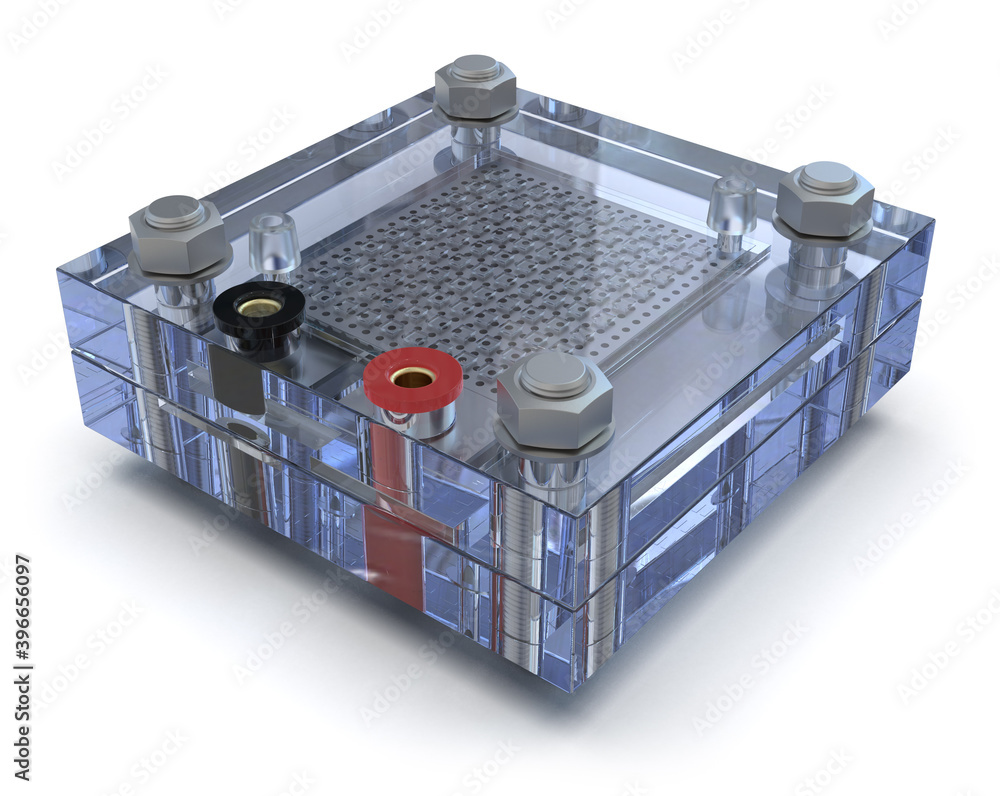 Hydrogen fuel cell