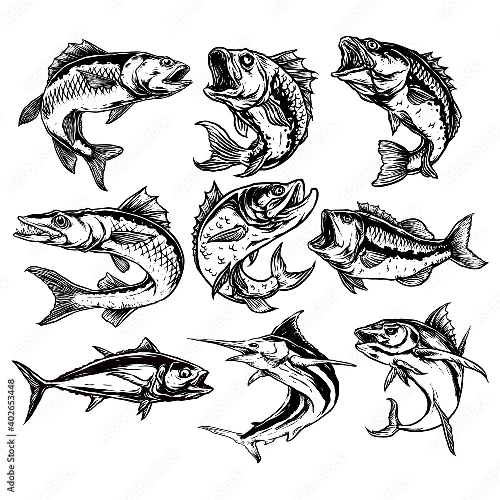 vector set of predator fish illustration