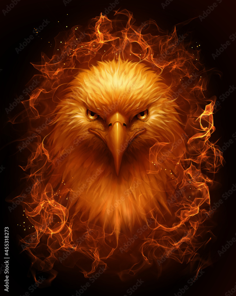 Burning bald eagle head on the dark background. Digital painting. 