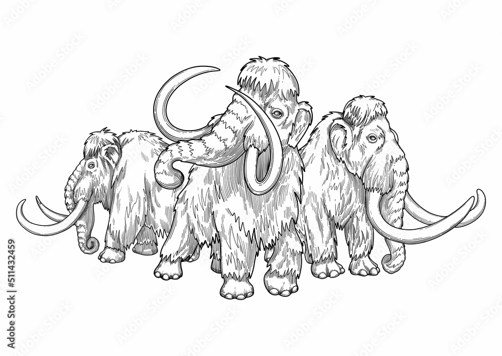 Composition of a three graphic walking mammoths in a front and side views.