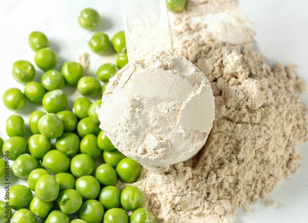 Plant base protein Pea Protein Powder in plastic scoop with fresh green Peas seeds on white Background, isolated copy space. 