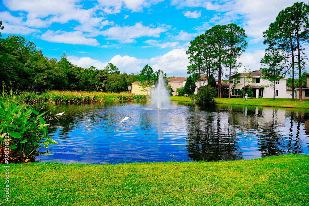 Beautiful house and pond in New Tampa area