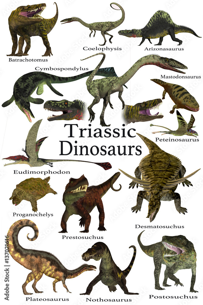 Triassic Dinosaurs - A collection of various dinosaur and marine ...