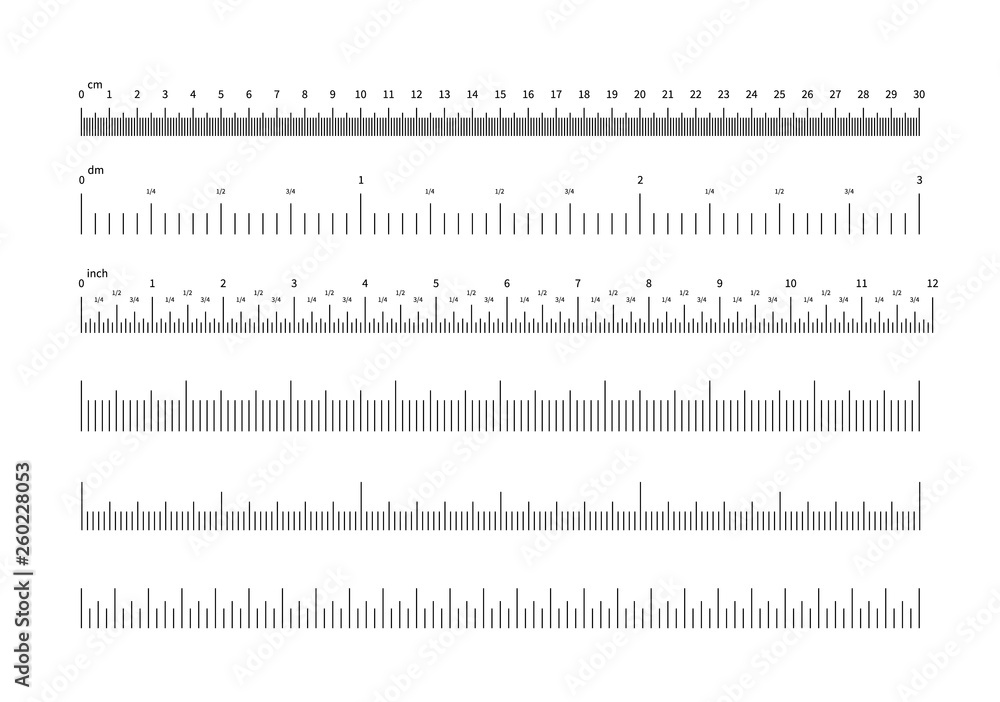 Parts Of Ruler Scale Inch Divided Into Fractions Vector, 53% OFF