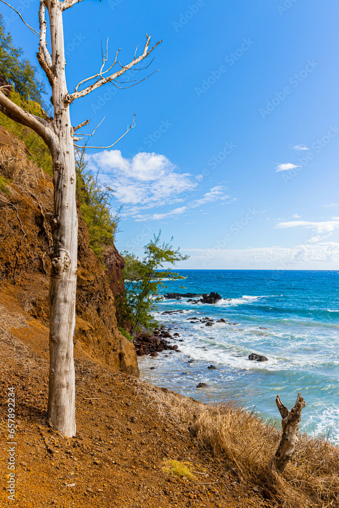 Elevated View of The Red Sand Of Koki Beach and Ka iwi o Pele , Koki ...