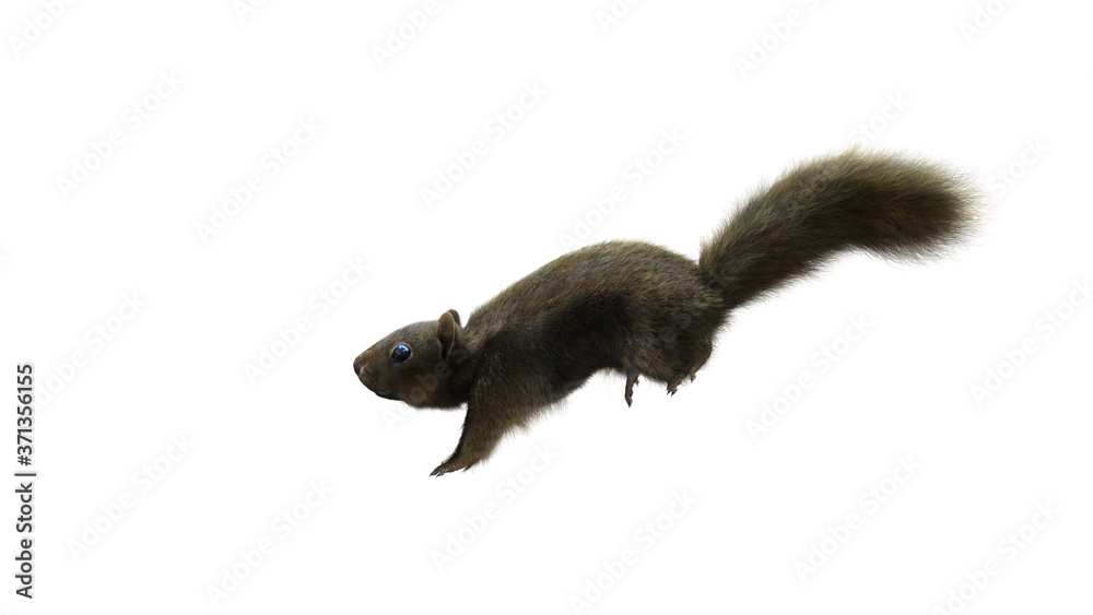 3D Render Squirrel with fluffy Fur in running or jump pose isolated on White Background with Clipping Path. 3d character Animal Concept. Camera Side View.