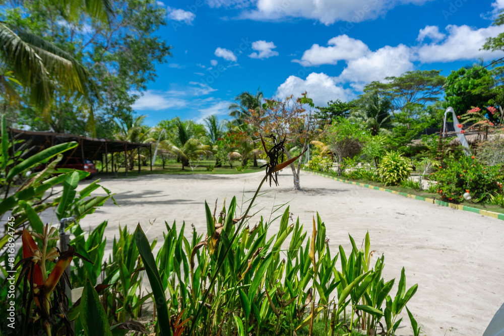 the view and atmosphere of a quiet cottage lodging away from the hustle and bustle of the highway and so private in the bintan area, Indonesia