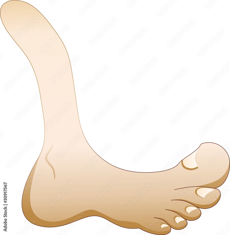 Piede Cartoon-Big Foot Cartoon-Vector Stock Vector | Adobe Stock