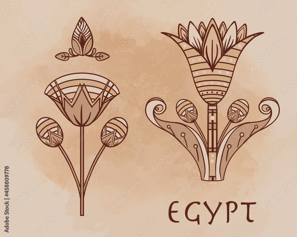 Egyptian Lotus Flower Pictures