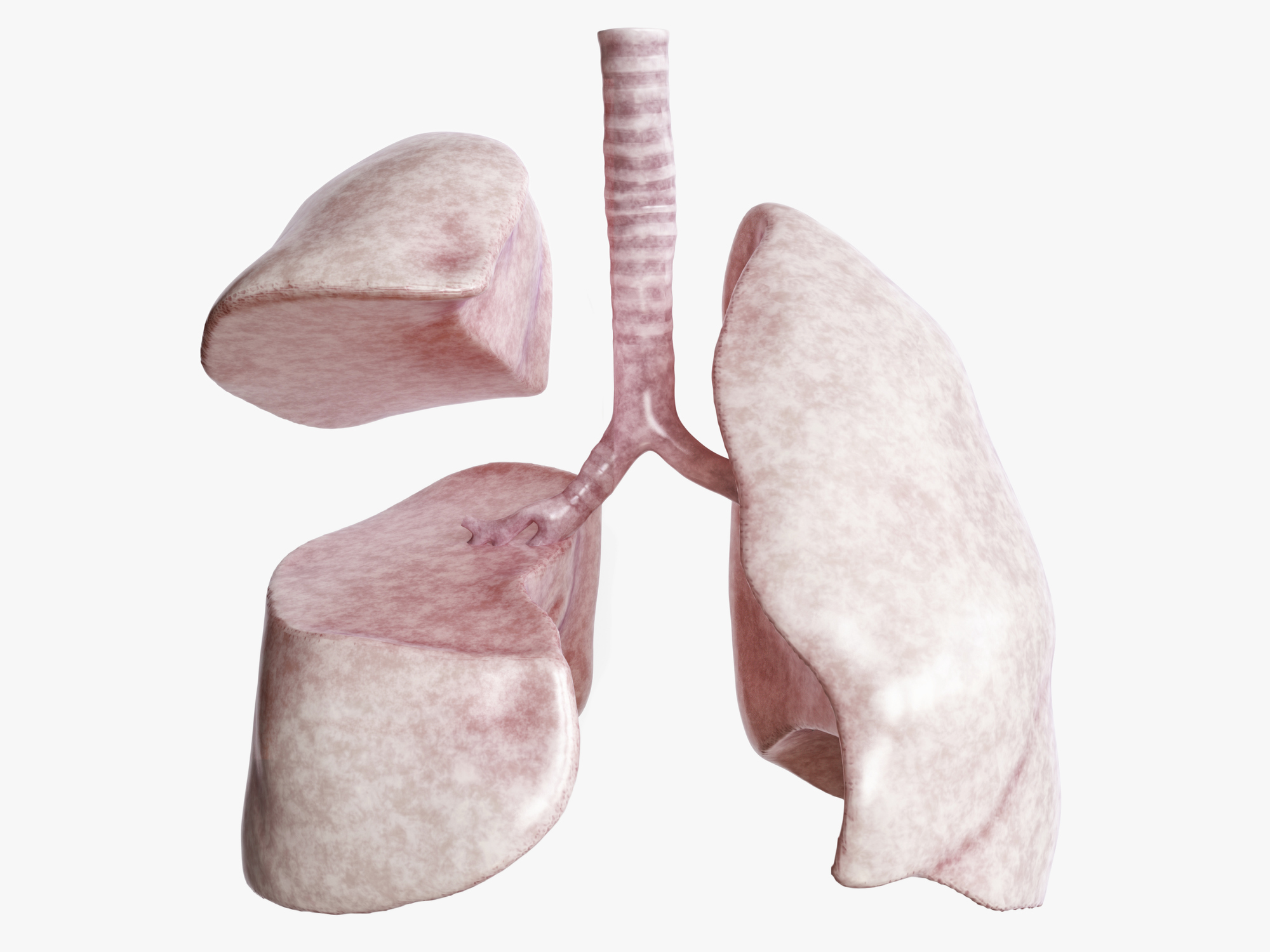 lung - AsiaMD - Verified Medical News & Updates image.