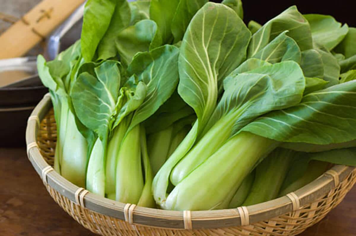 bok choy