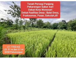 Dijual Tanah Pekarangan Murah, Luas 1163m2, SHM, Kawasan Wisata, Dekat Fasum, di Gunungkidul - Yogyakarta