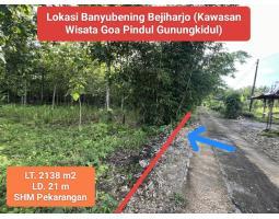 Dijual Tanah Pekarangan Murah, Luas 2138m2, SHM, Kawasan Wisata, di Banyubening, Bejiharjo, Karangmojo, Gunung kidul - Yogyakarta