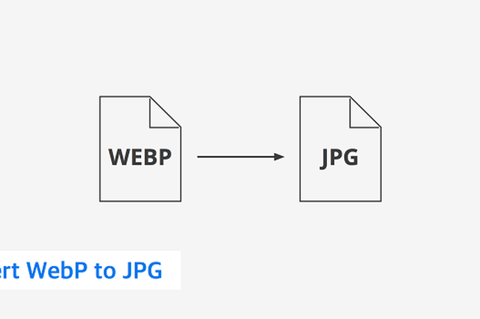 Download 75 Koleksi Gambar Gambar Format Png Paling Baru Gratis