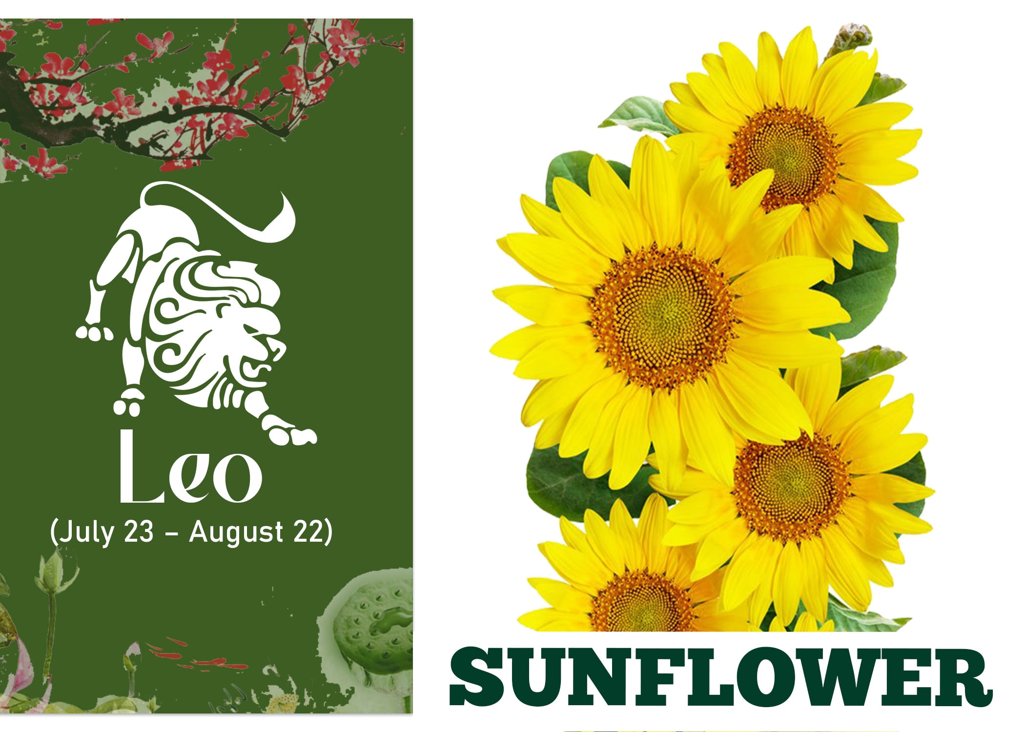 Zodiac Sign Flower for Leo - Sunflower