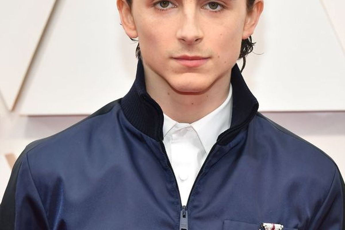 Aktor Timothee Chalamet ketika menghadiri penganugerahan Piala Oscar 2020.