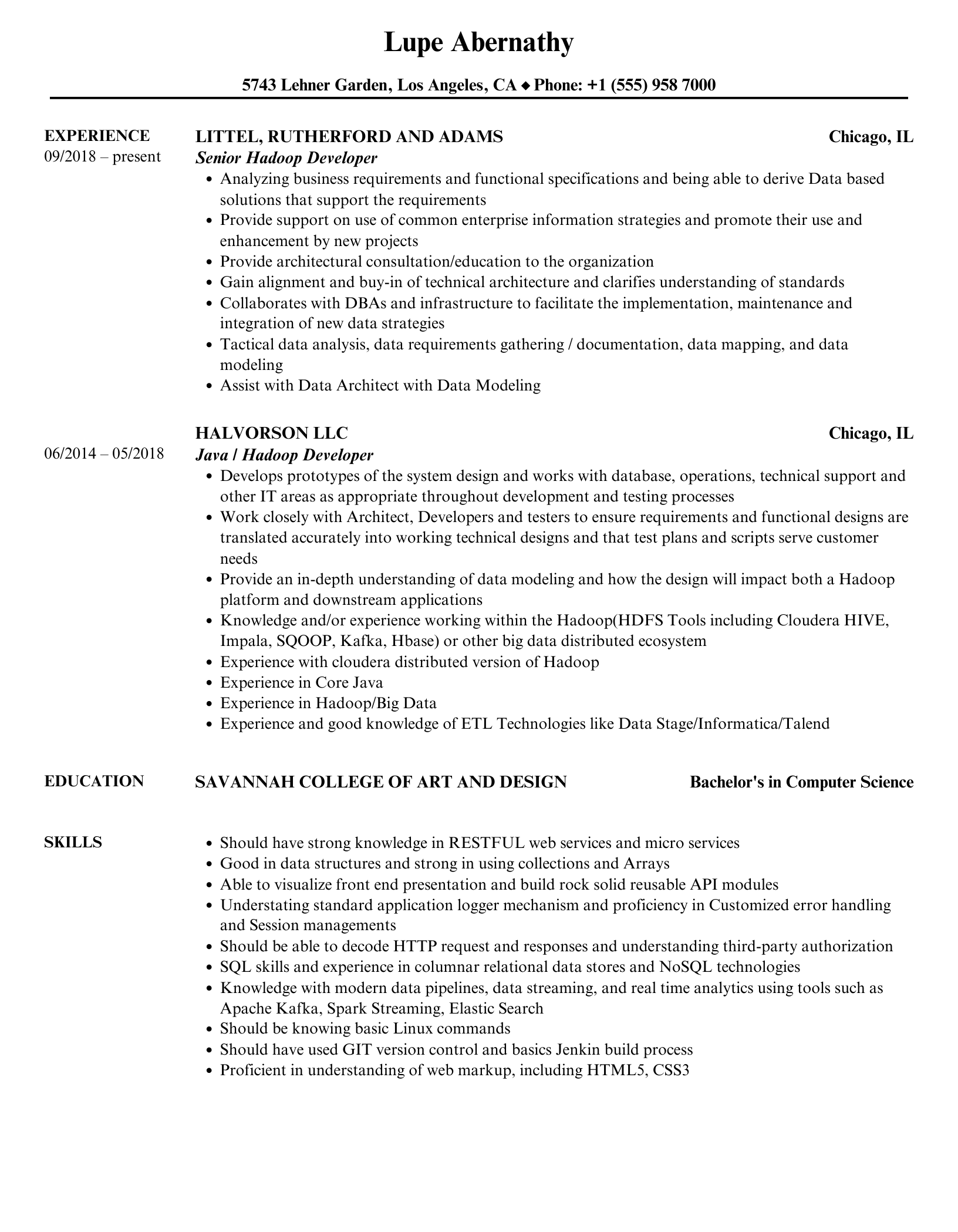 Hadoop Developer Resume Samples | Velvet Jobs