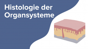 Histologie der Organsysteme