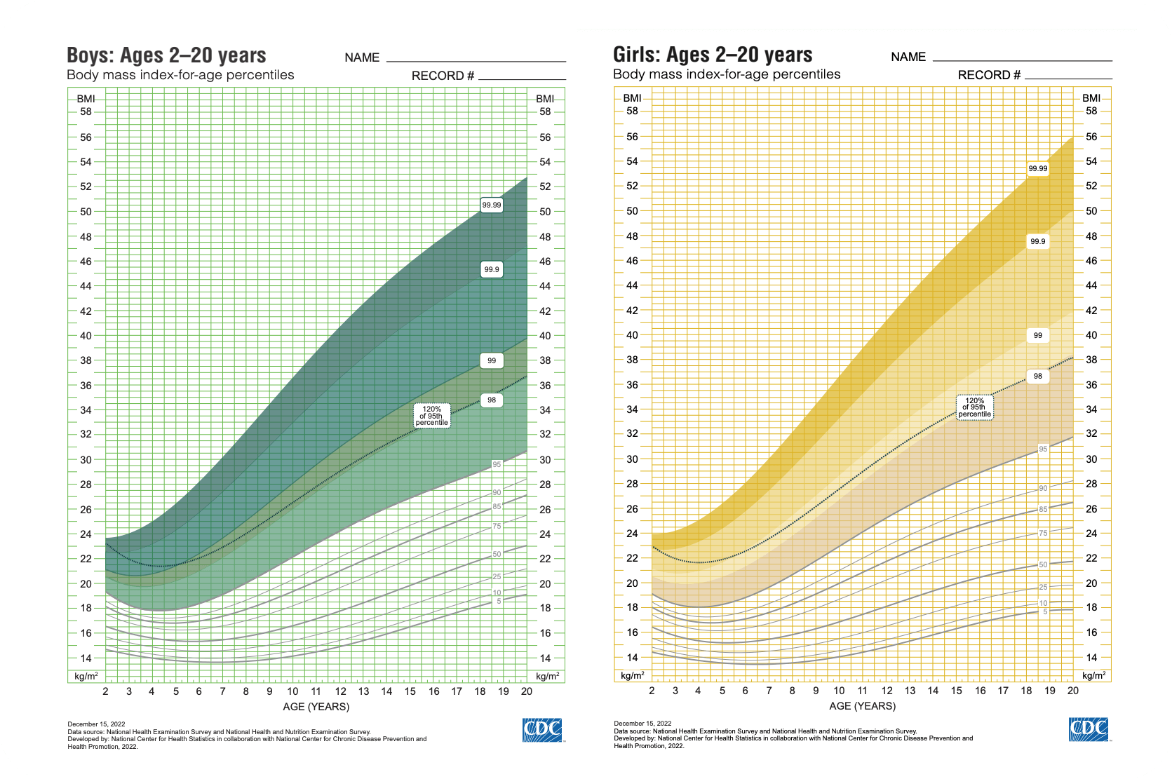 BMI Calculator | Advanced & Simple Calculations