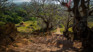 Steps leading down Khmer temple... [Photo of the day - 28 JANUARY 2025]