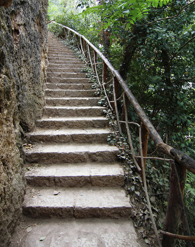 Outdoor stairs designs: 16 ideas for Indian houses