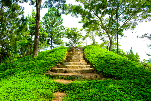 Outdoor stairs designs: 16 ideas for Indian houses