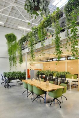 Natural elements office 