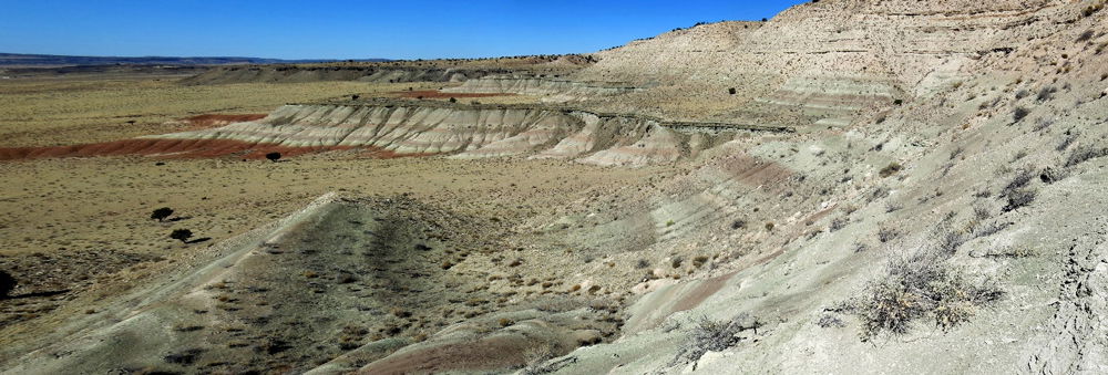 Bidahochi Formation Lake Beds