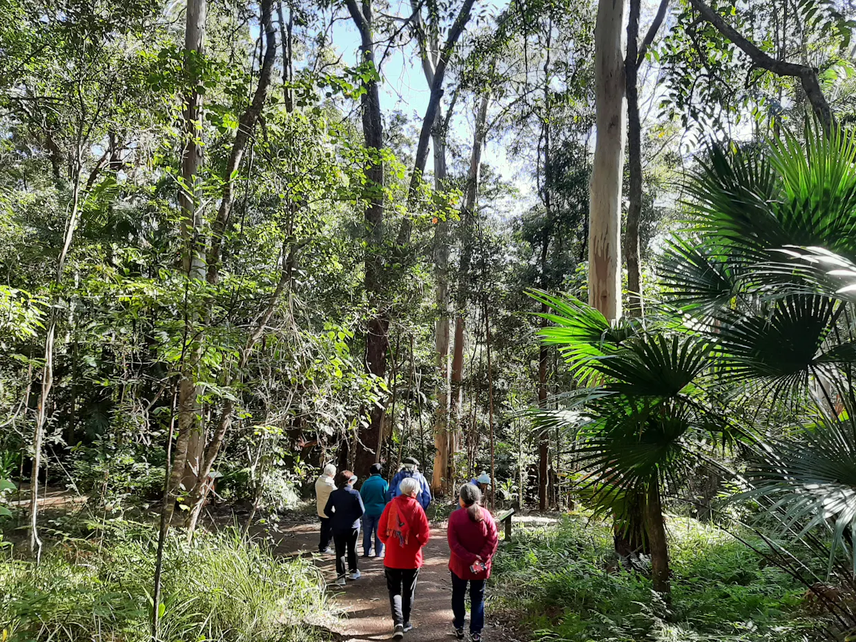 Held Outside Nature Connection Experiences