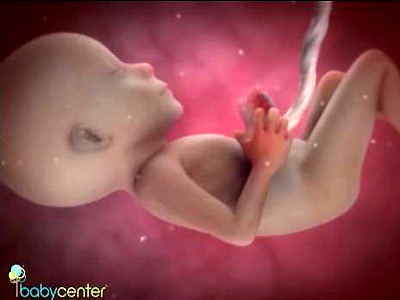 Play video: Inside pregnancy: girl or boy (video)