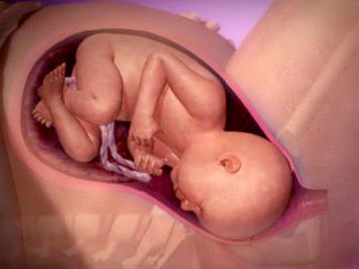 Play video: Inside pregnancy: labour and birth (video)