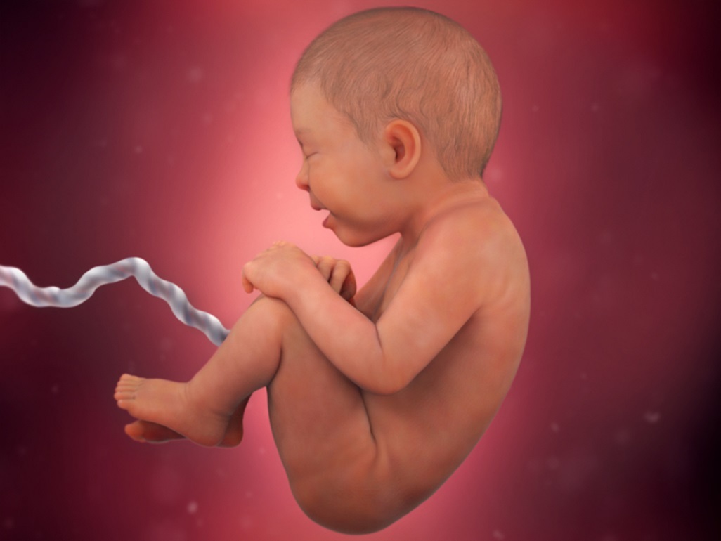 computer-generated image of a fetus at 36 weeks with pink skin and open mouth