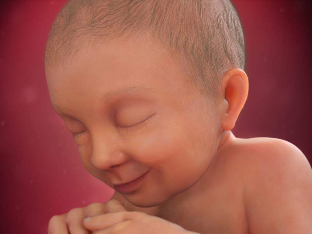 computer-generated image of a fetus at 37 weeks with close up of face with smile and hair on head