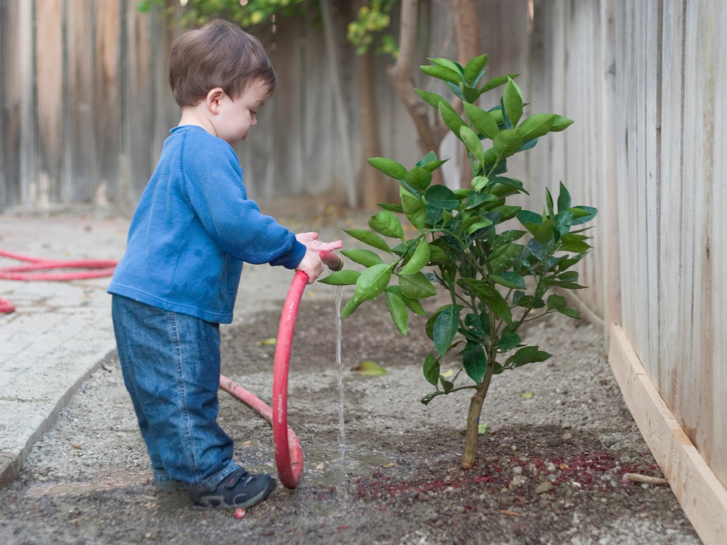 boy watering a tree with a hose