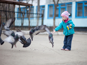 child holding a small bag of seeds and feeding them to pigeons