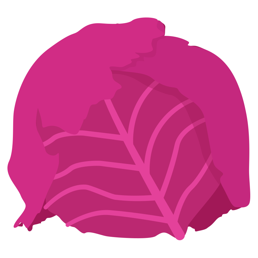 red cabbage illustration