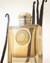 Burberry Goddess Bottle with Vanilla Sticks 