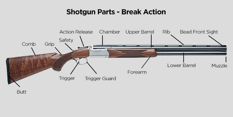 Labeled Shotgun